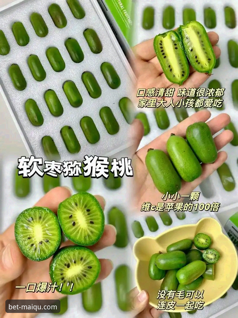 奇异果体育官方入口下载受阻？深度评测与解决方案全解析